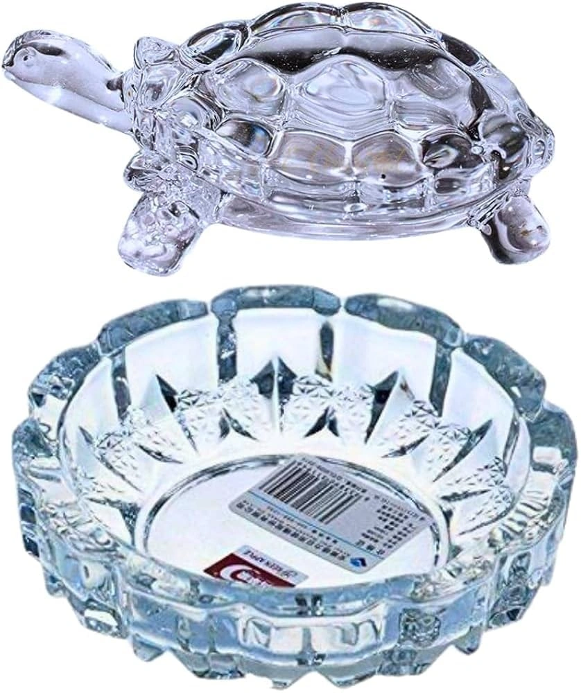 max Mini Turtle With Round Plate For possitive wibe.