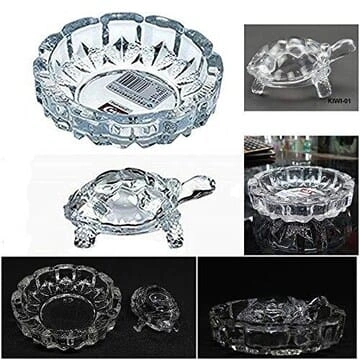 max Mini Turtle With Round Plate For possitive wibe.