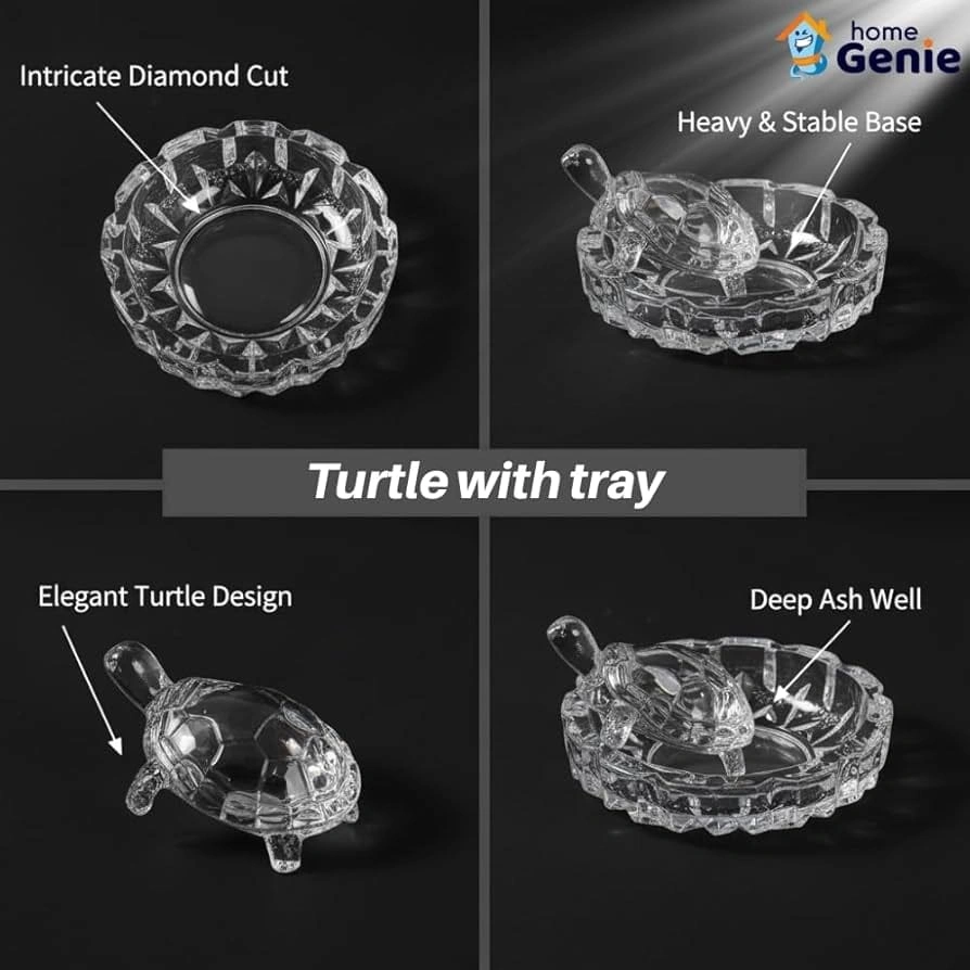max Mini Turtle With Round Plate For possitive wibe.