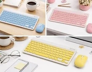 Both the keyboard and mouse Bluetooth Connectivity.